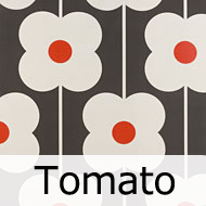 オーラ・カイリー　Abacus Flower Tomato