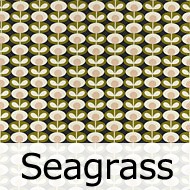 オーラ・カイリー　Oval Flower Seagrass