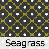 オーラ・カイリー　Spot Flower Seagrass